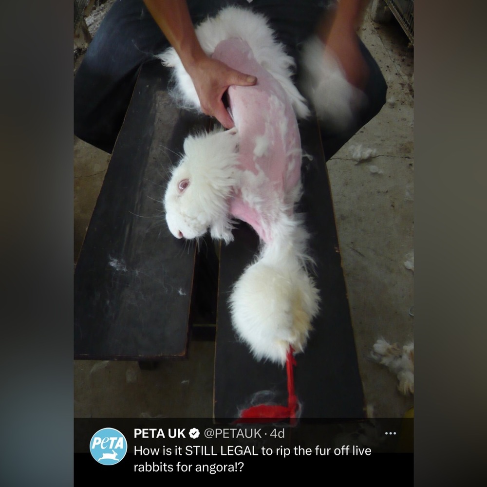 PLZ BUY PRE-OWNED FUR PRODUCTS
‼️NOT FOR SALE‼️ - Picture 4 of 13